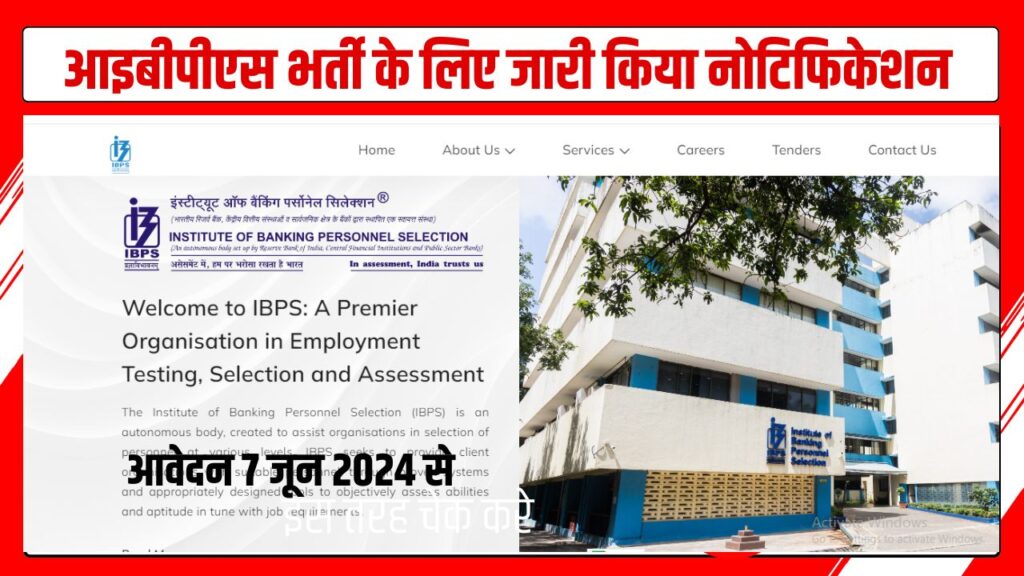 IBPS RECRUITMENT 2024